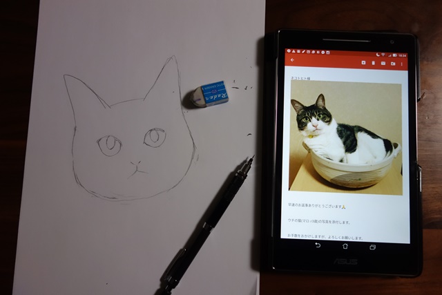 猫イラスト