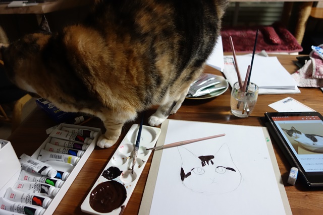 三毛猫しじみ