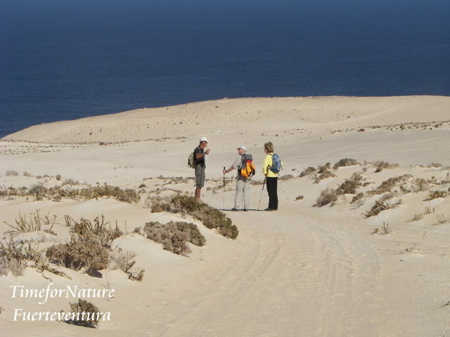 Richtung Westatlantik