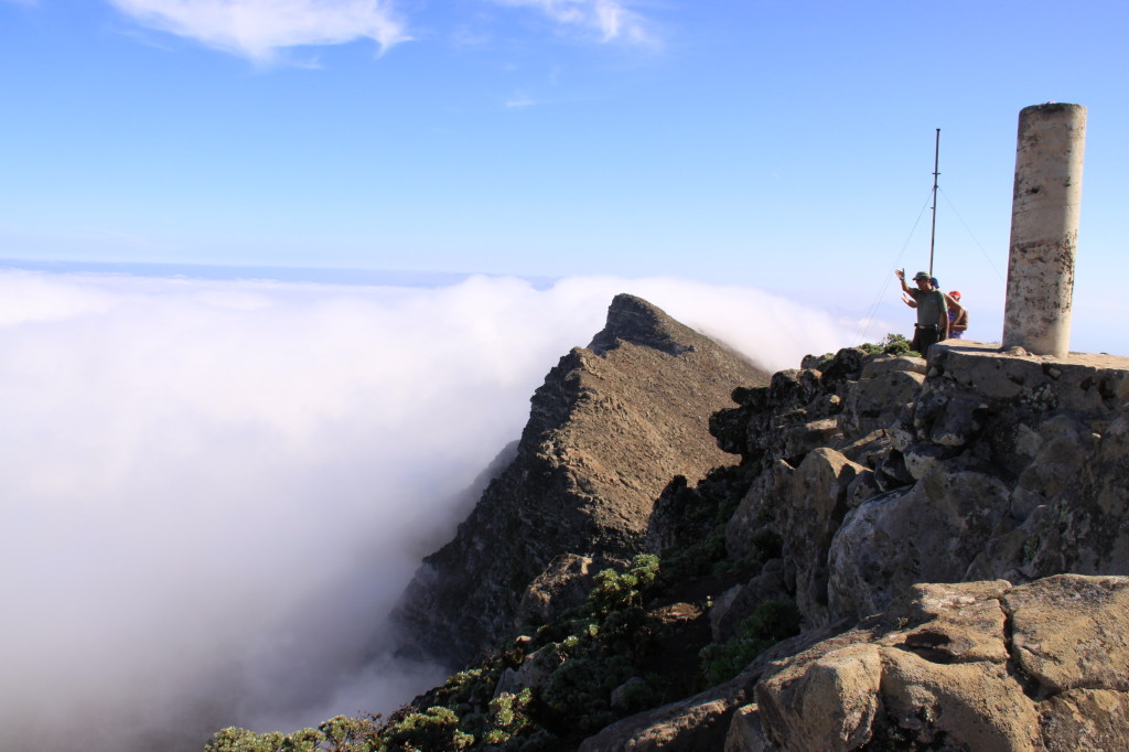 Über den Passatwolken