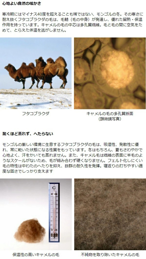 キャメルピロー - 洋家具発祥の地・横浜 ダニエル元町本店 横浜 キャメルピロー - 洋家具発祥の地・横浜 ダニエル元町本店 横浜