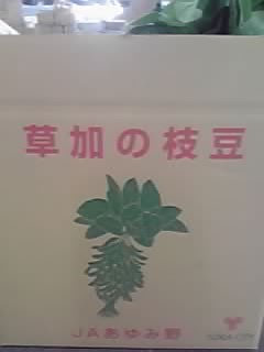 枝豆 - Vegetables Revolution ベジタブルレボリューション