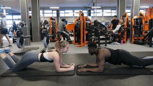 Planks