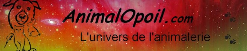 AnimalOpoil : L'Univers de L'Animalerie