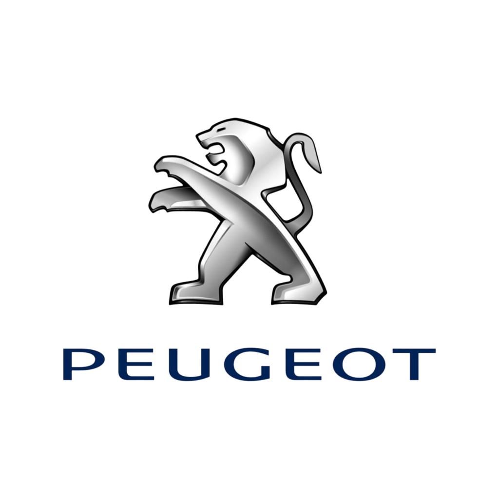 Anhängerkupplung für Peugeot Boxer Kastenwagen