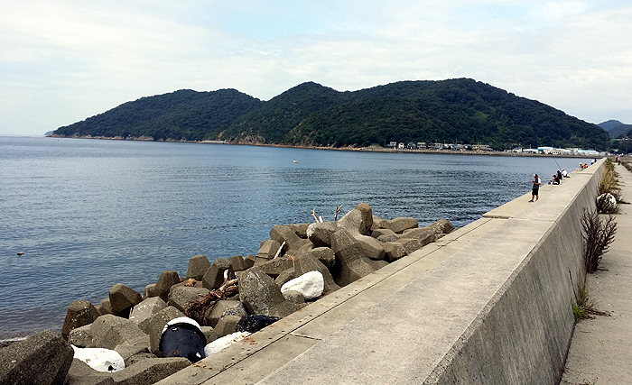 IMGRIMOMGRI'S FISHING in KOBE AKASHI