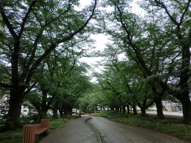 桐生市役所からすぐの遊歩道