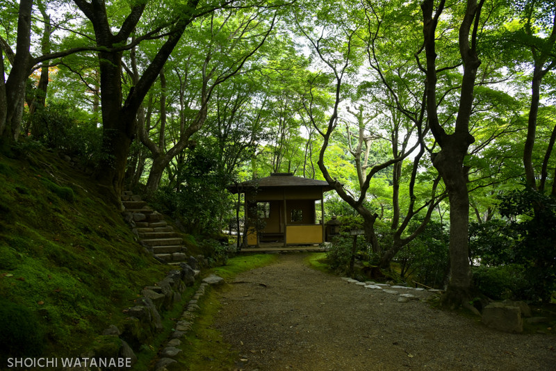 Nikon D810 + AF-S NIKKOR 24-120mm f/4G ED VR