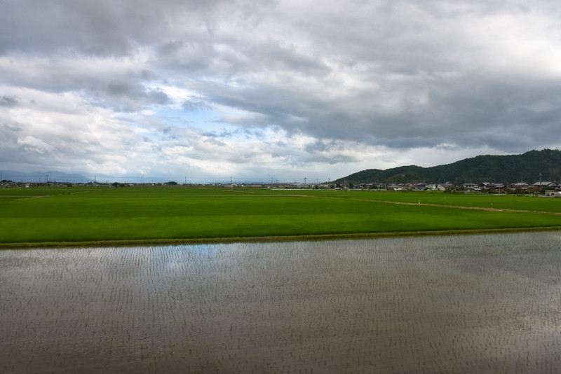 米原近くになると見られるこの手の風景。じっくり撮影したいところでしたが、