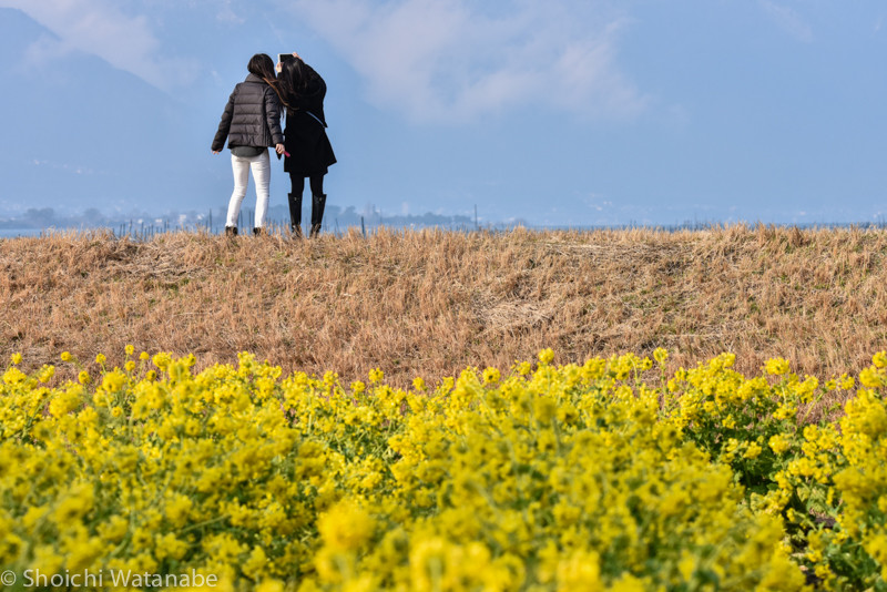 Nikon D810 + TAMRON 150-600mm