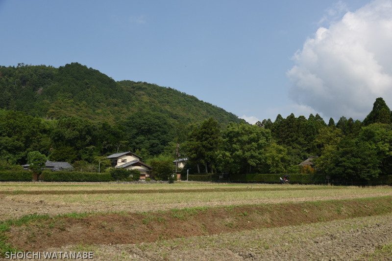 Nikon D810 + AF-S NIKKOR 24-120mm f/4G ED VR