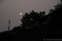 空がすごい色です。太陽もこんな感じで見えます。恐ろしい・・・