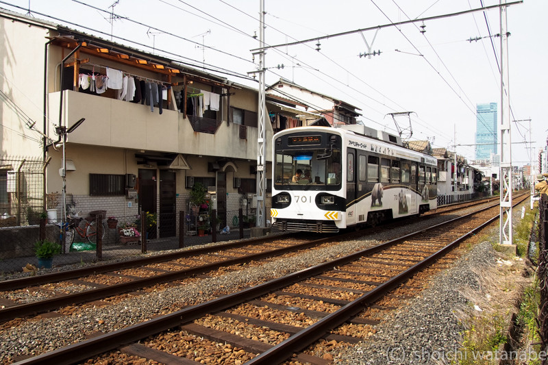 なにかと可愛らしいパンダ電車
