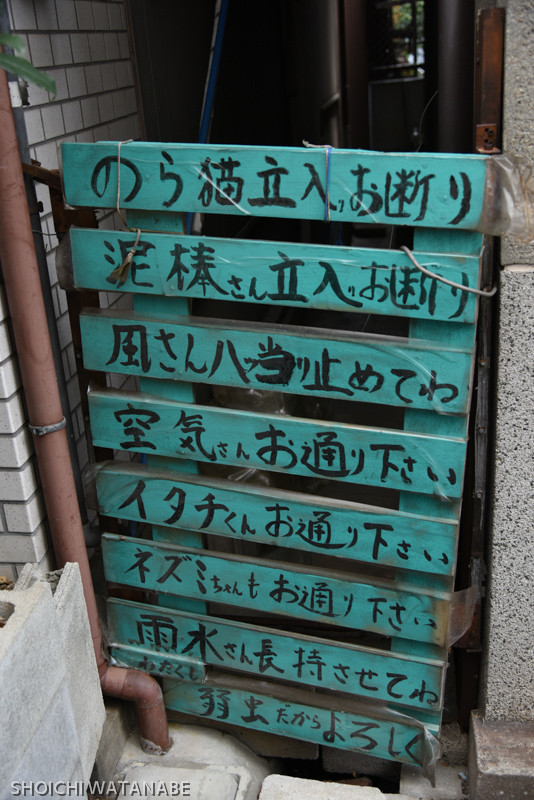 家主さんの人柄がでるようなこんな立入禁止の柵も。