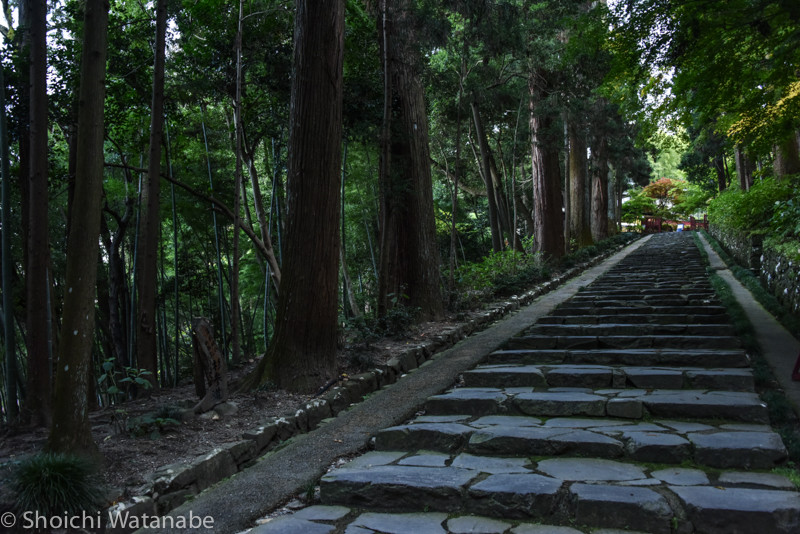 瑞鳳寺。ここまで歩いていったものだから大変でした。