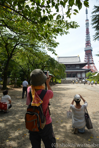 東京タワーを背にした増上寺にて