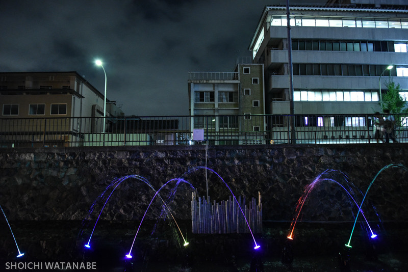 Nikon D810 + AF-S NIKKOR 28-300mm f/3.5-5.6G ED VR
