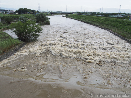 いつもは穏やかな川も大増水