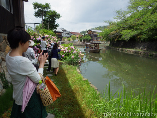 水郷めぐりの船