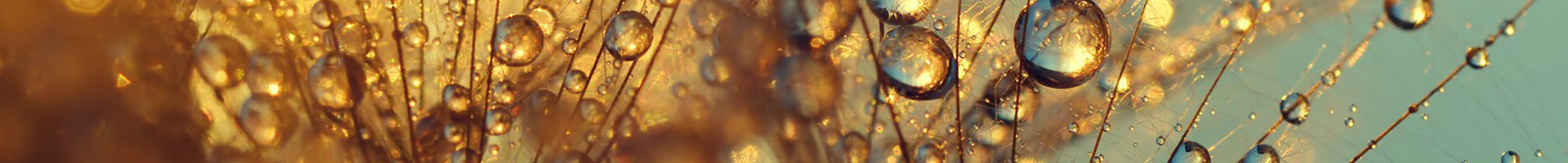 Ganzheitliches Coaching is-fullwidth pull-btm