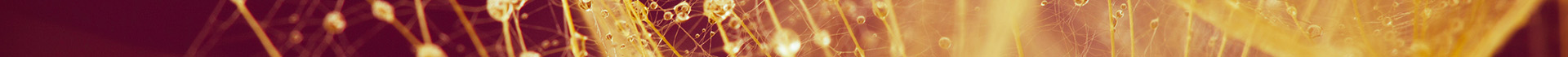 Coaching Ausbildungen is-fullwidth