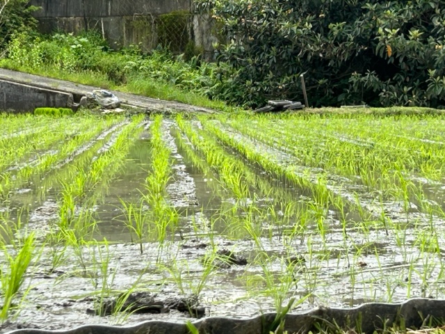桜梅桃李（就労継続支援Ｂ型）