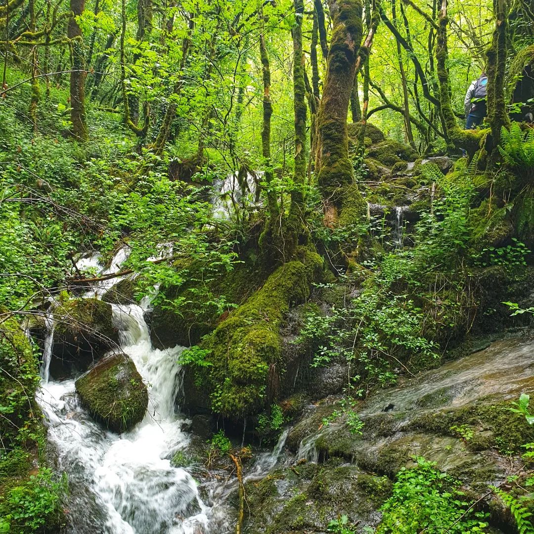 Mercredi 16 juillet 2025 - À la découverte de la discrète vallée du Dadou - Le Travet