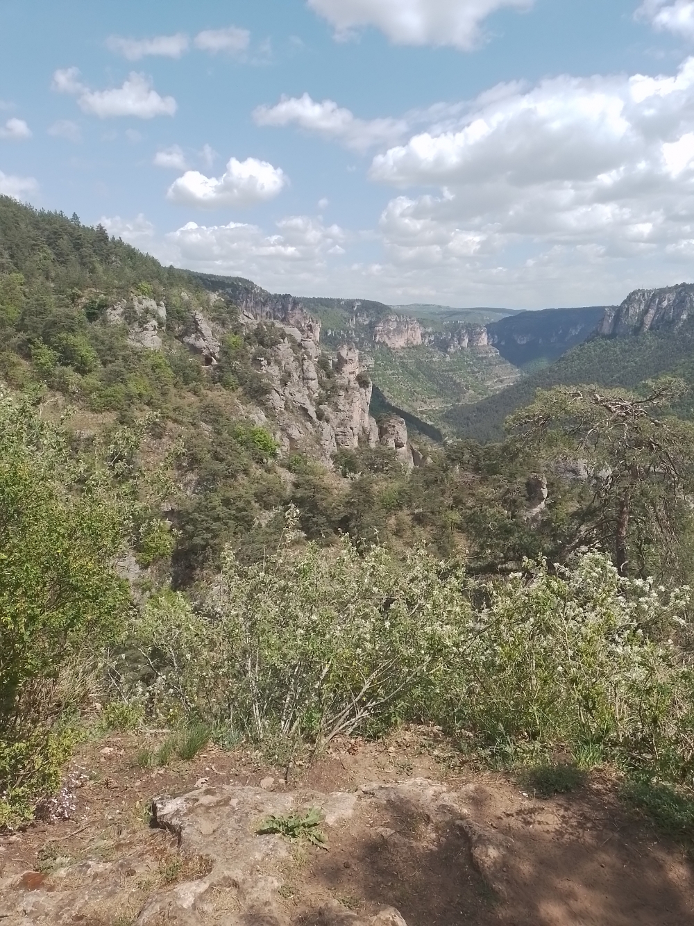 Le sentier du balcon du vertige dans les gorges du Tarn