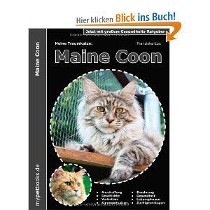 Hier finden Sie Katzen unserer Zucht