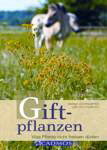 => Bild anklicken