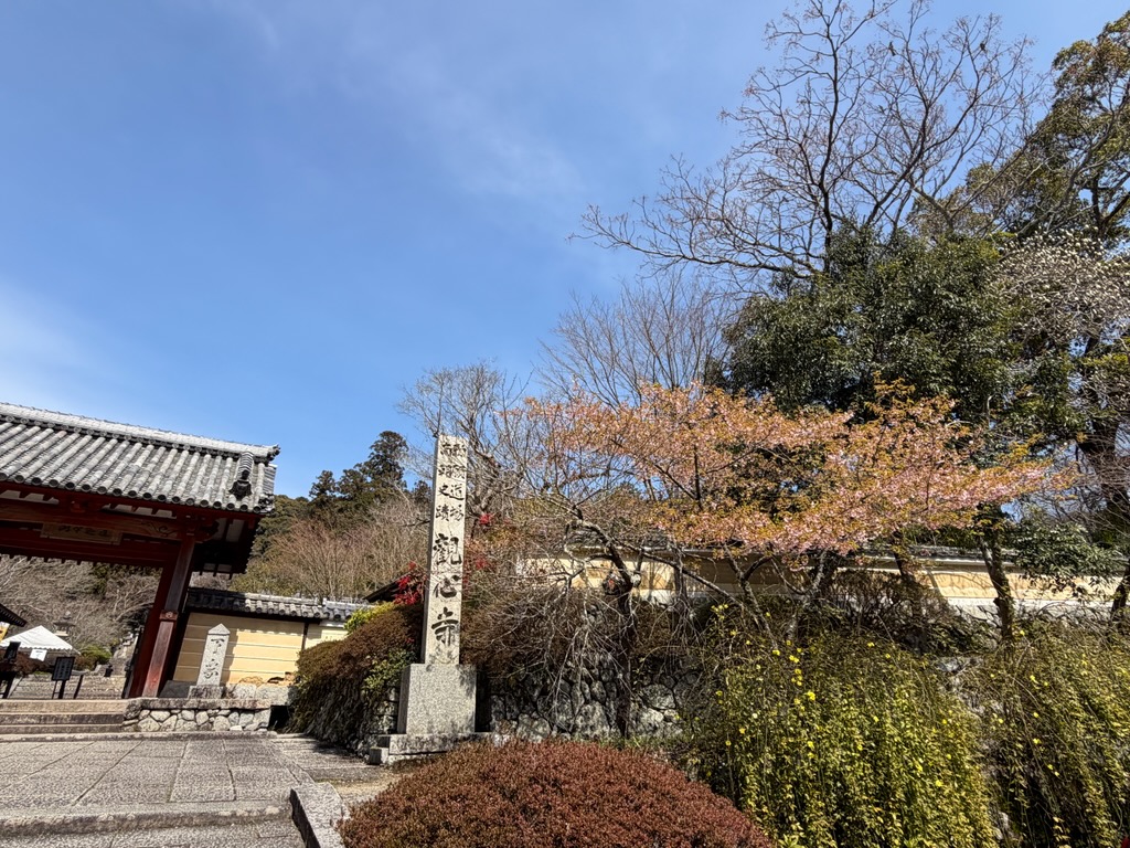 暑さ寒さも彼岸まで( *´艸｀)