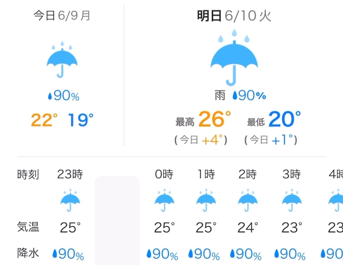 梅雨入りか？(￣▽￣;)