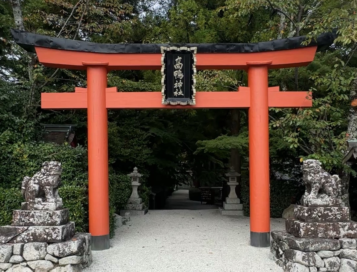 信じる事もある意味( *´艸｀)