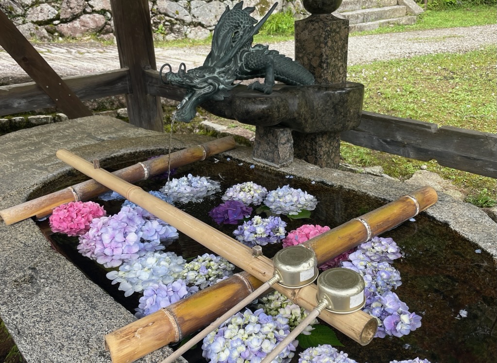 感謝してもしきれない( *´艸｀)