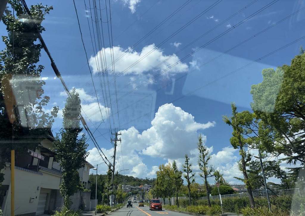 阪神タイガースのアレ( *´艸｀)