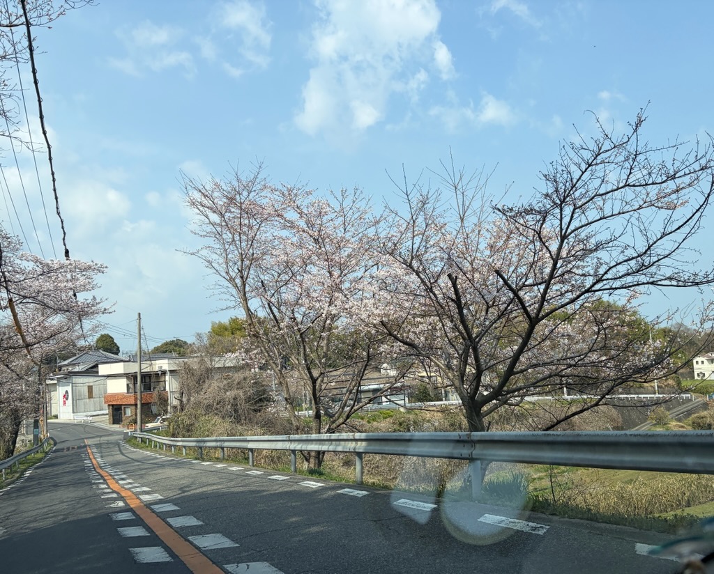 桜の咲く頃は( *´艸｀)