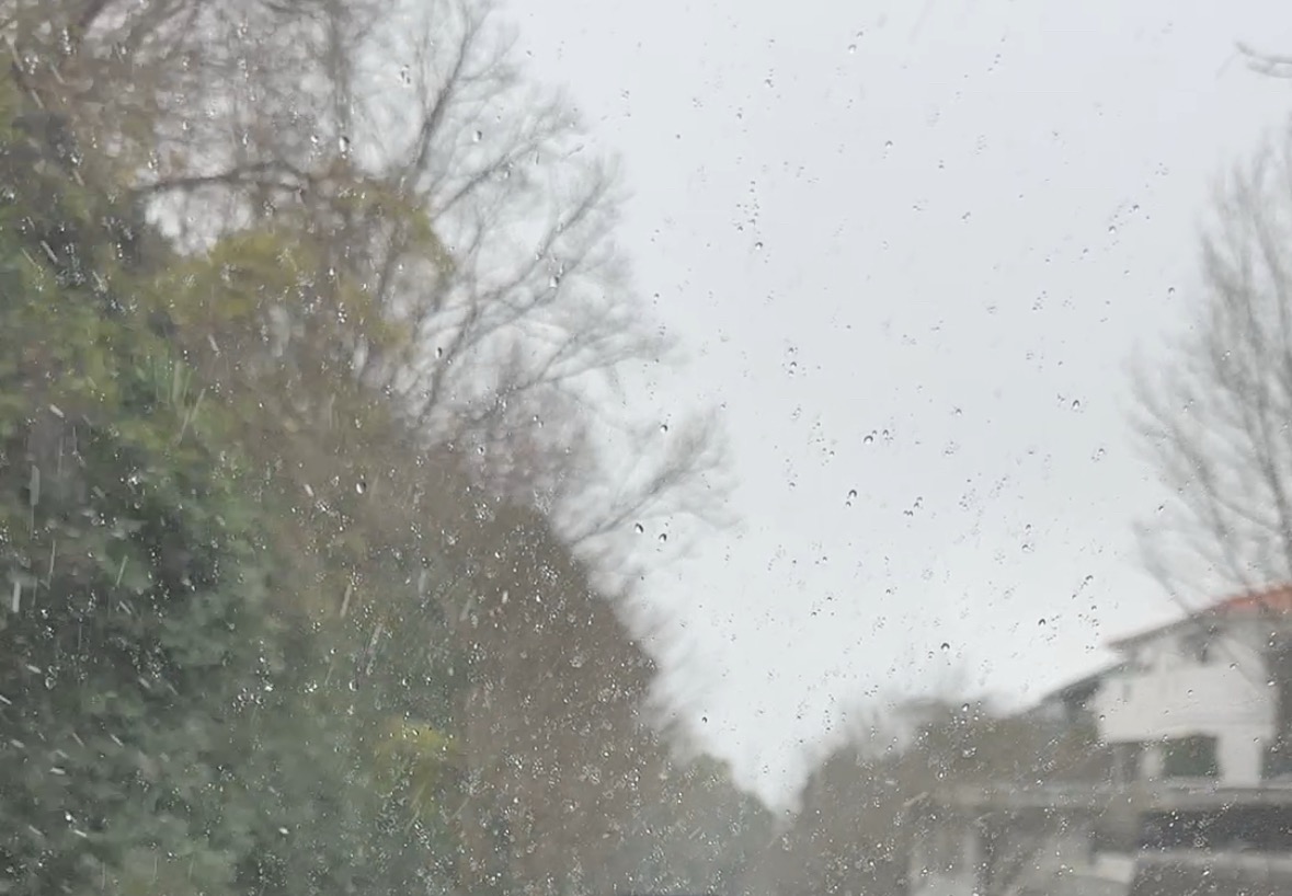 お客様の気の向くままに( *´艸｀)