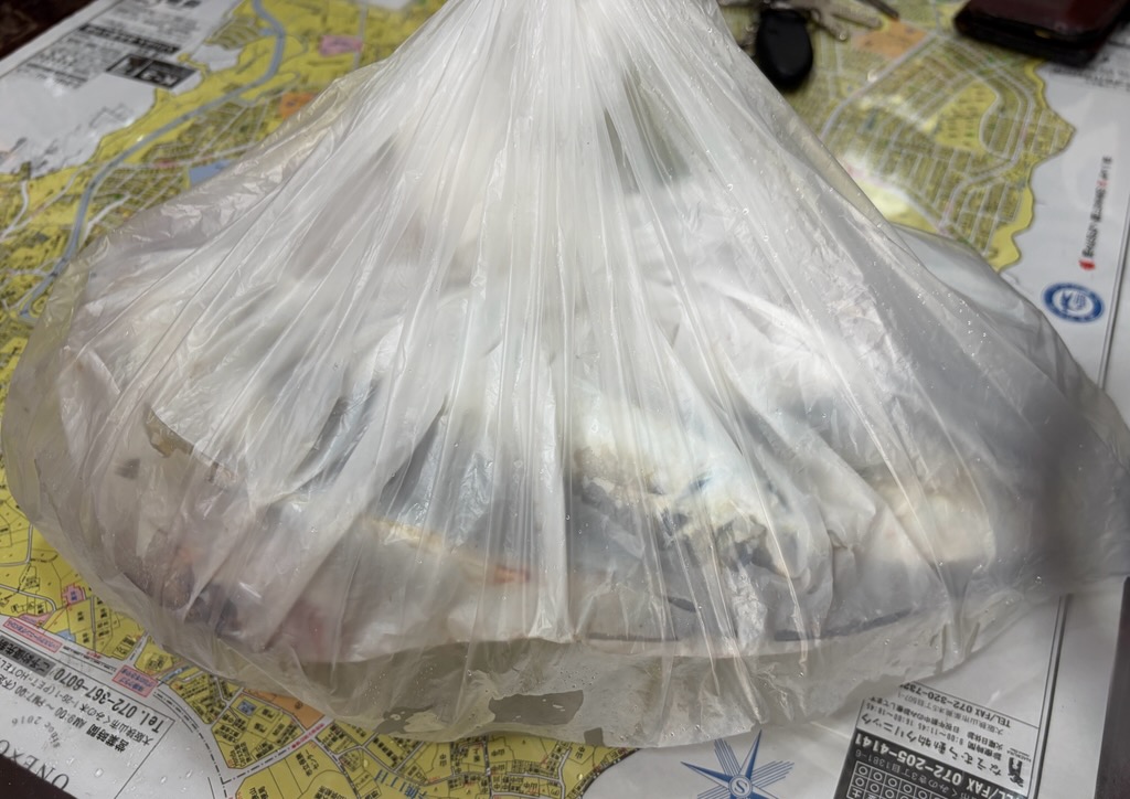 例年の最大イベント( *´艸｀)
