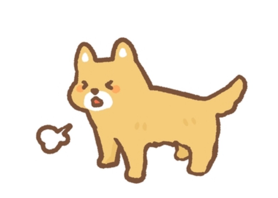 ワンちゃん風邪🐕