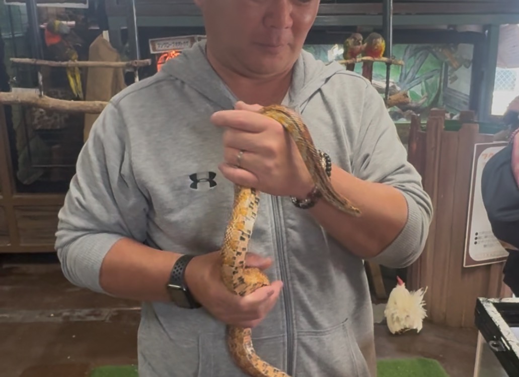 もともと動物は好き( *´艸｀)