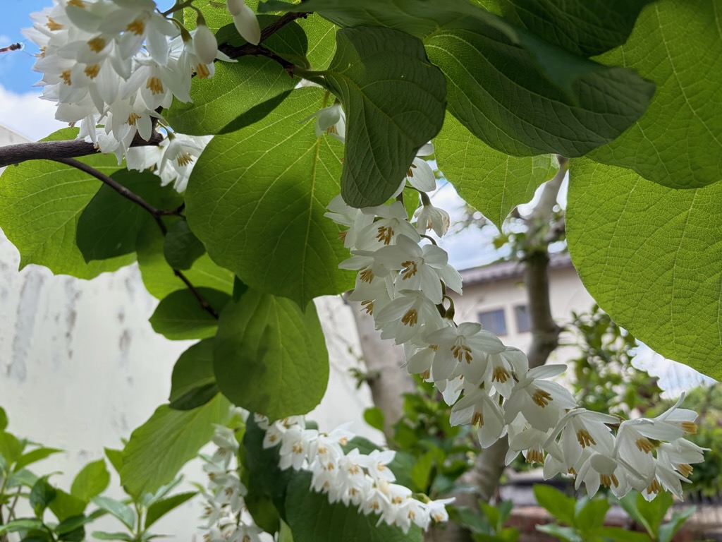 壮大で朗らかな( *´艸｀)