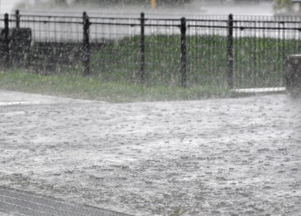 大雨のあとは(￣▽￣;)