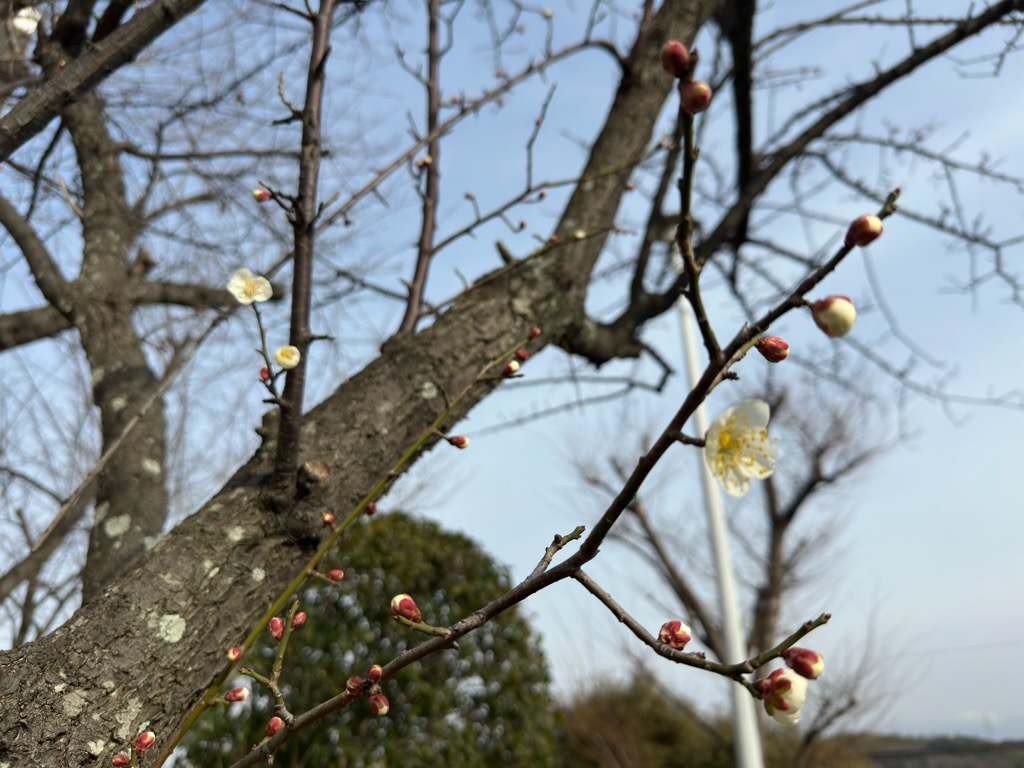見た目も大切(^-^)
