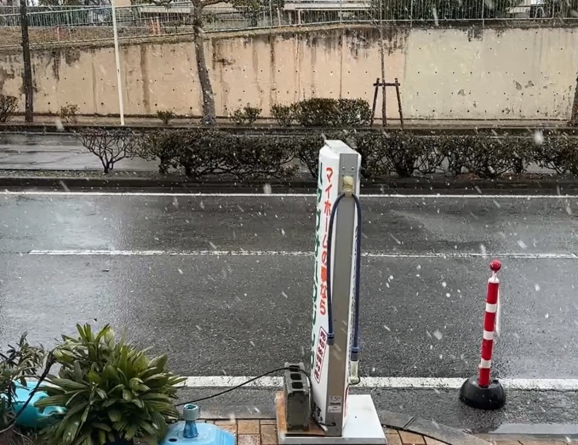 好きな映画は( *´艸｀)