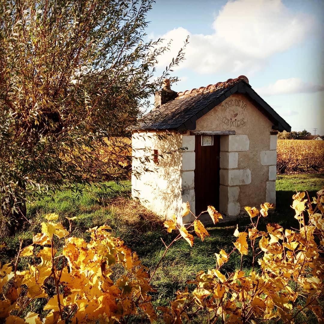 Wine heritage: vineyard lodges in the Loire Valley