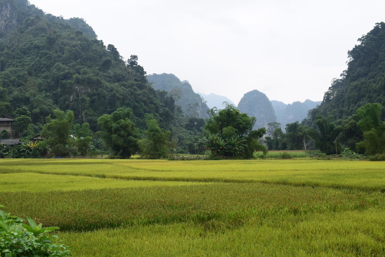 Wine production in Vietnam
