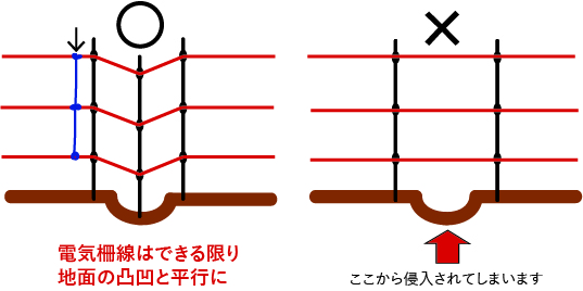 簡易電気柵設置のポイント おーでらすは人も自然もイキイキと暮らせる地域づくりを支援する団体です