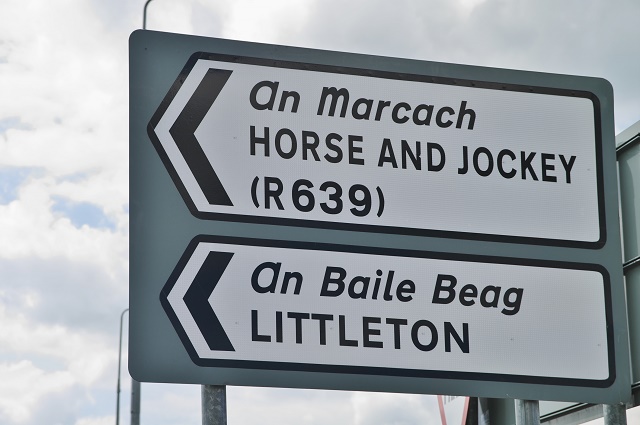 Horse and Jockey Tipperary
