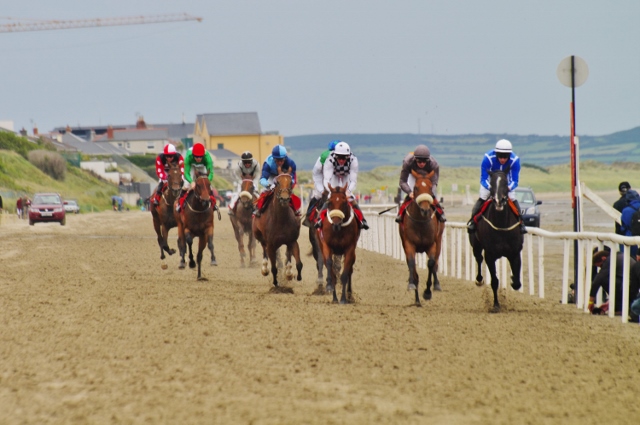 アイルランド 競馬