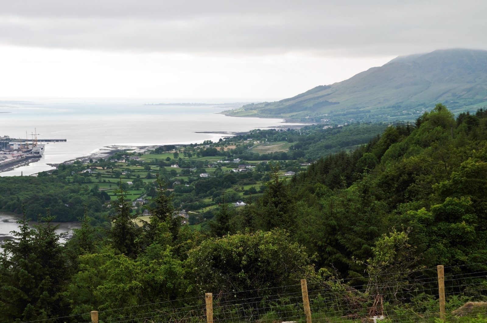 アイルランド旅行 観光 ラウス州最高峰 オイスターフェスティバル ドロヘダ散策 Tokyo School Of Irish Music Fiddle Violin Tin Whistle Etc